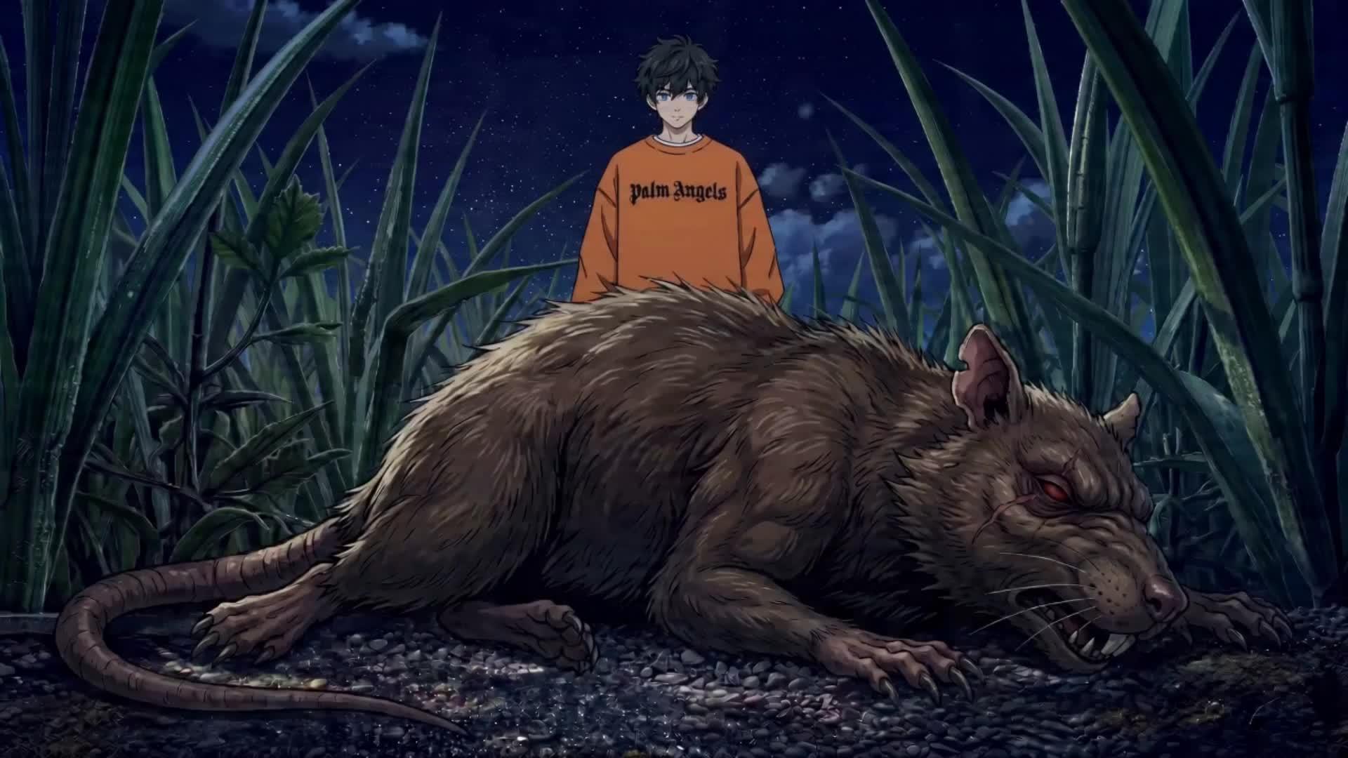 Episode 5